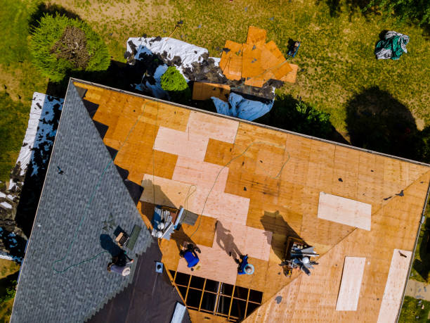 Best Metal Roofing Contractor  in Battle Ground, IN