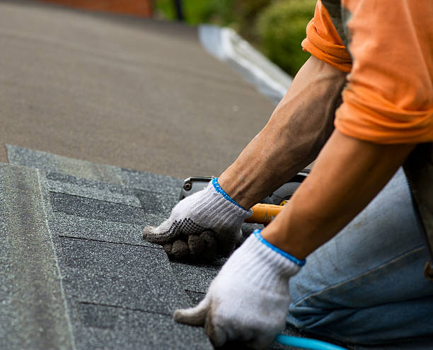 Best Flat Roof Repair Services  in Battle Ground, IN